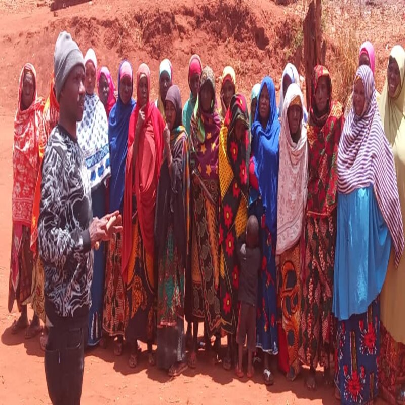 Women leading the green economy